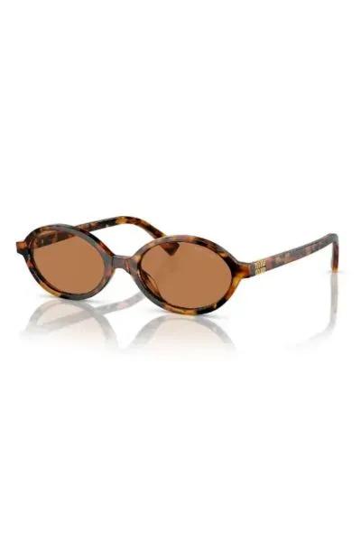 HP- Stuffers SB Sunglass Hut