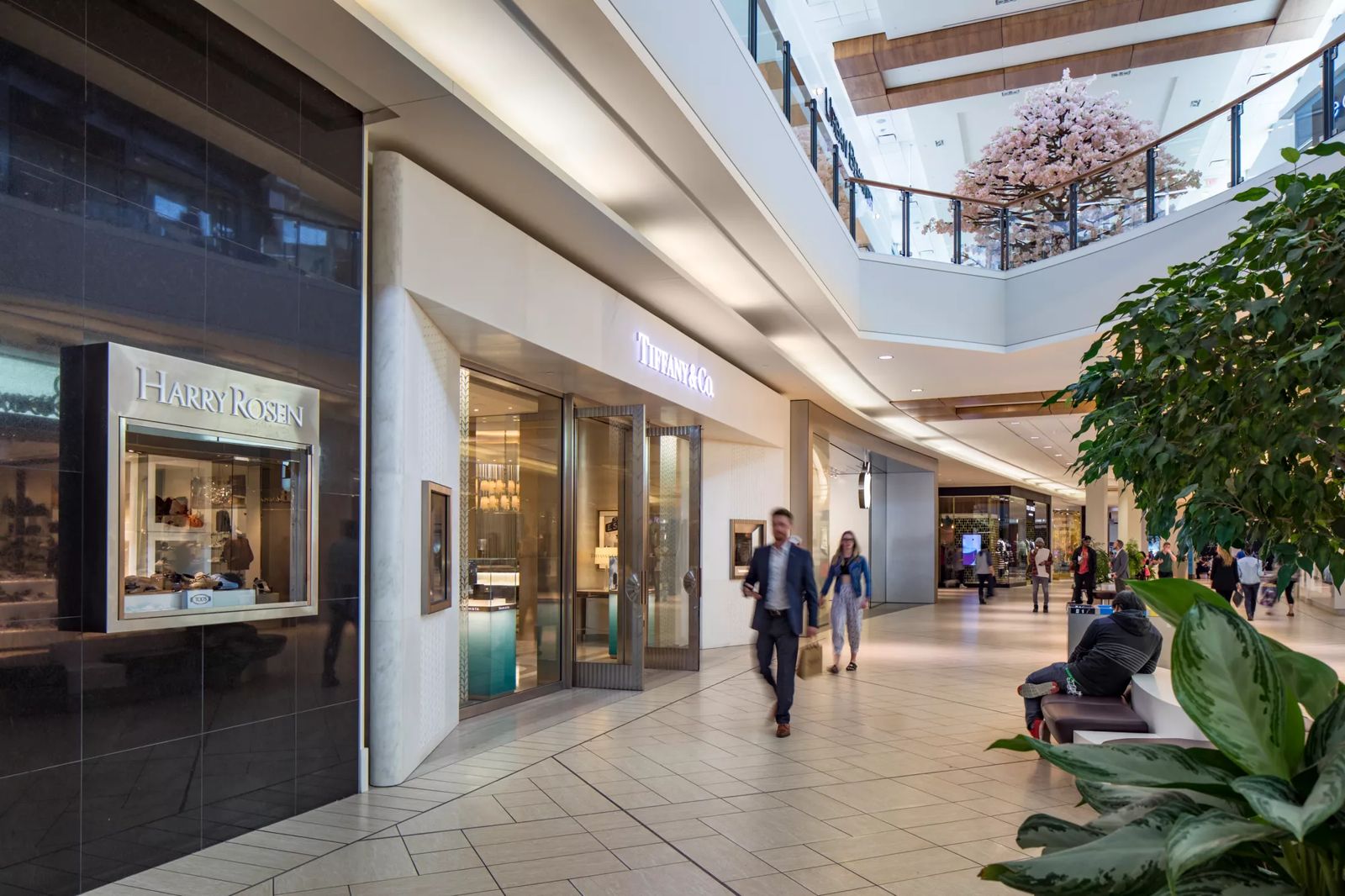 Chinook Professional Tower