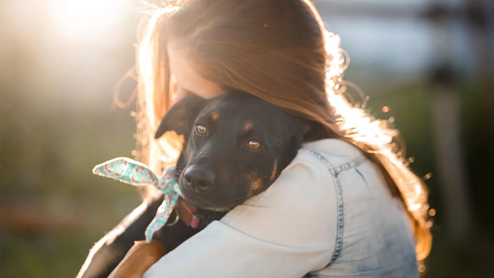 [CF Shops at Don Mills] Paws in the Square