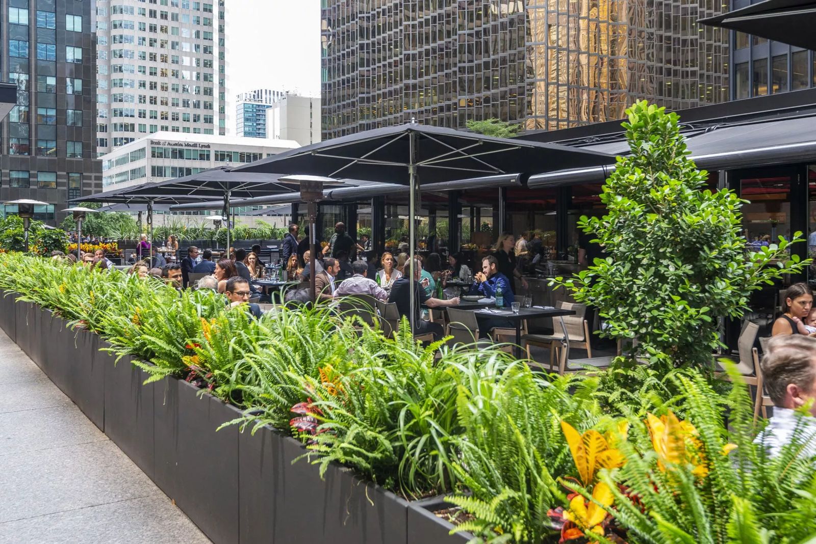 [Office] [TD Centre] - Patio Spot