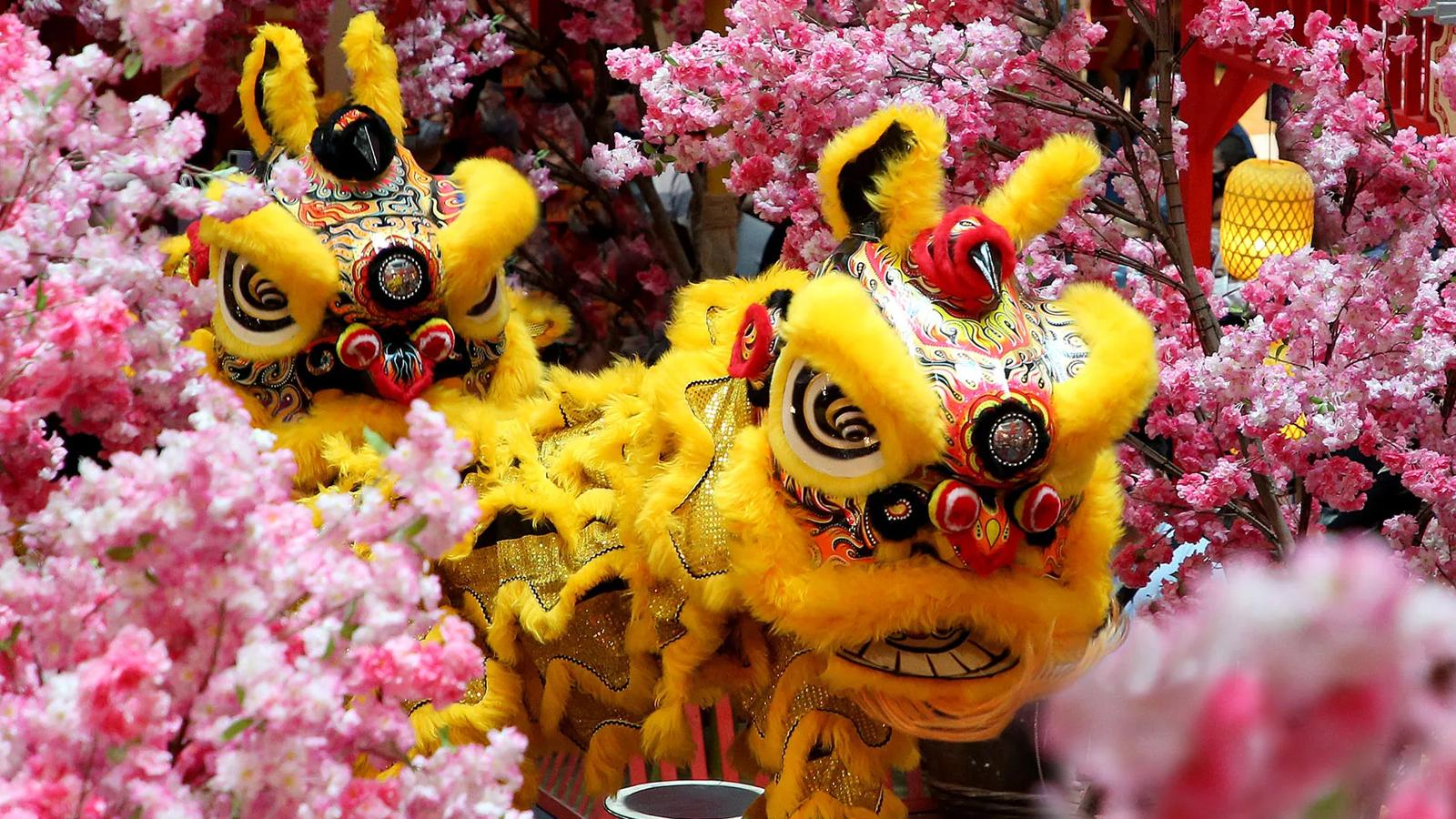 Lunar New Year Hero Banner