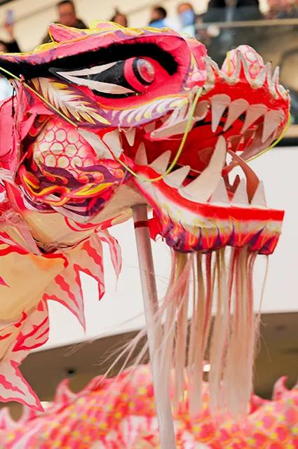 LNY Product Guide Image