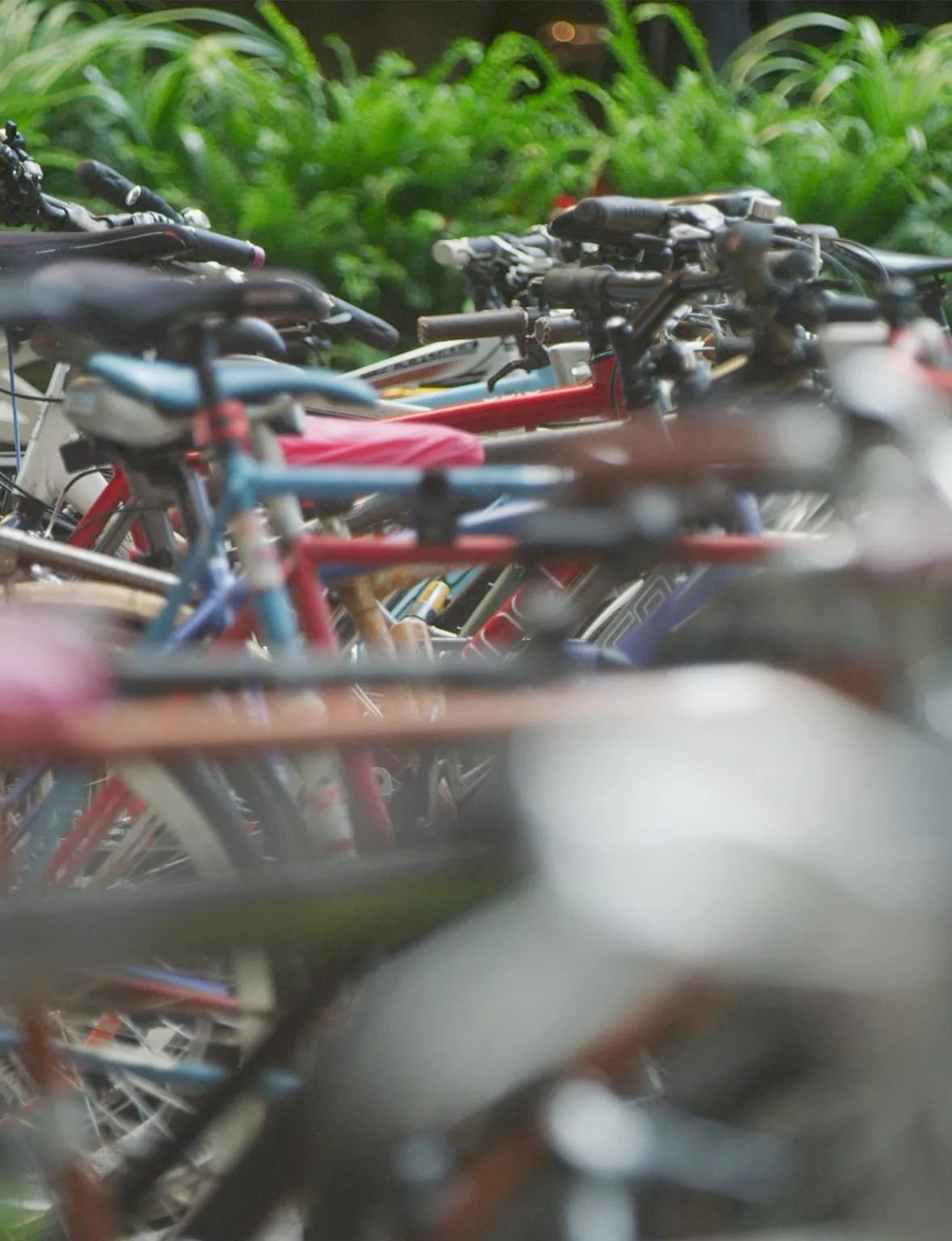 Bicycle & End of Trip Facilities