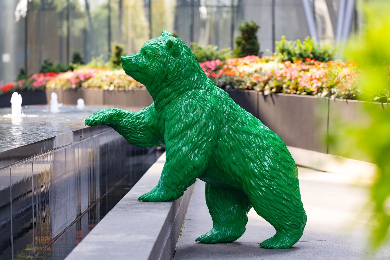 16 York Bear