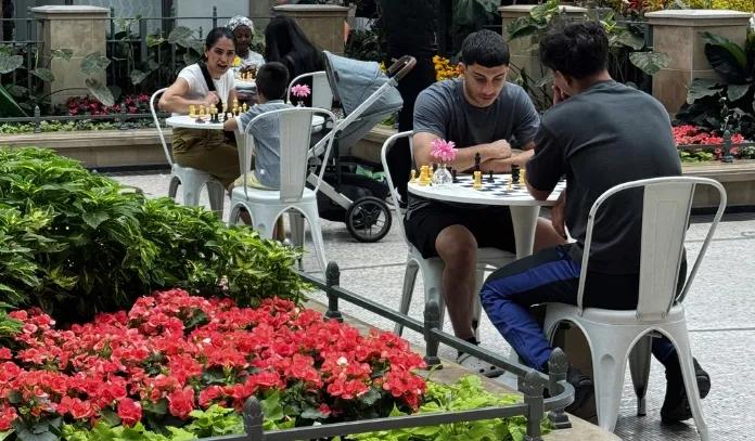 [CF Carrefour Laval] Garden Stopovers: A Multi-Sensory Summer Escape