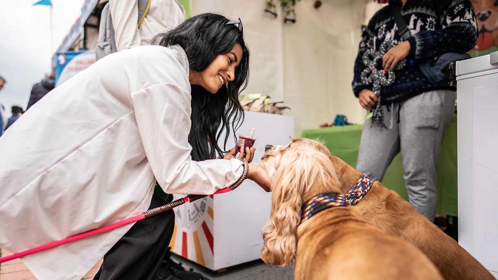 [CF Shops at Don Mills] Dog Days of Summer at CF Shops at Don Mills