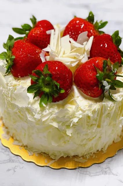 [Holiday Gift Guide 2025] - Experience - Product 7 (9)