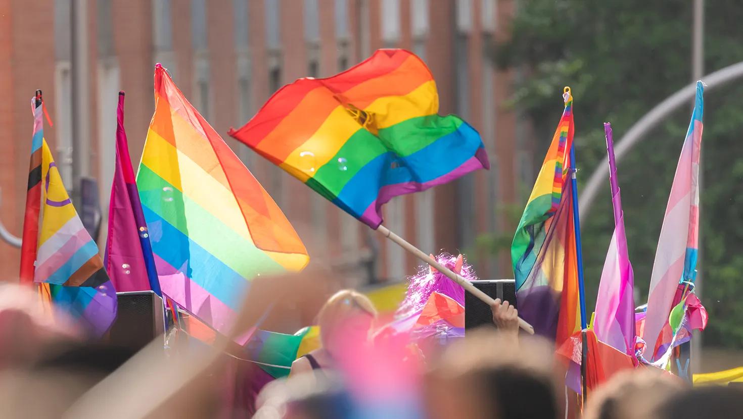 [All Properties] Pride Landing Page Image 