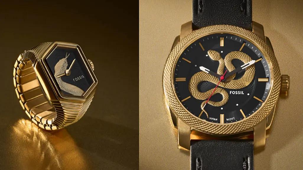 Fossil LNY