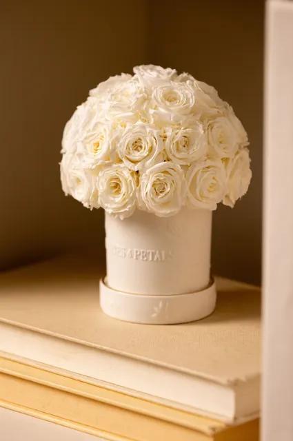 [Holiday Gift Guide 2025] - Experience - Product 3 (12)