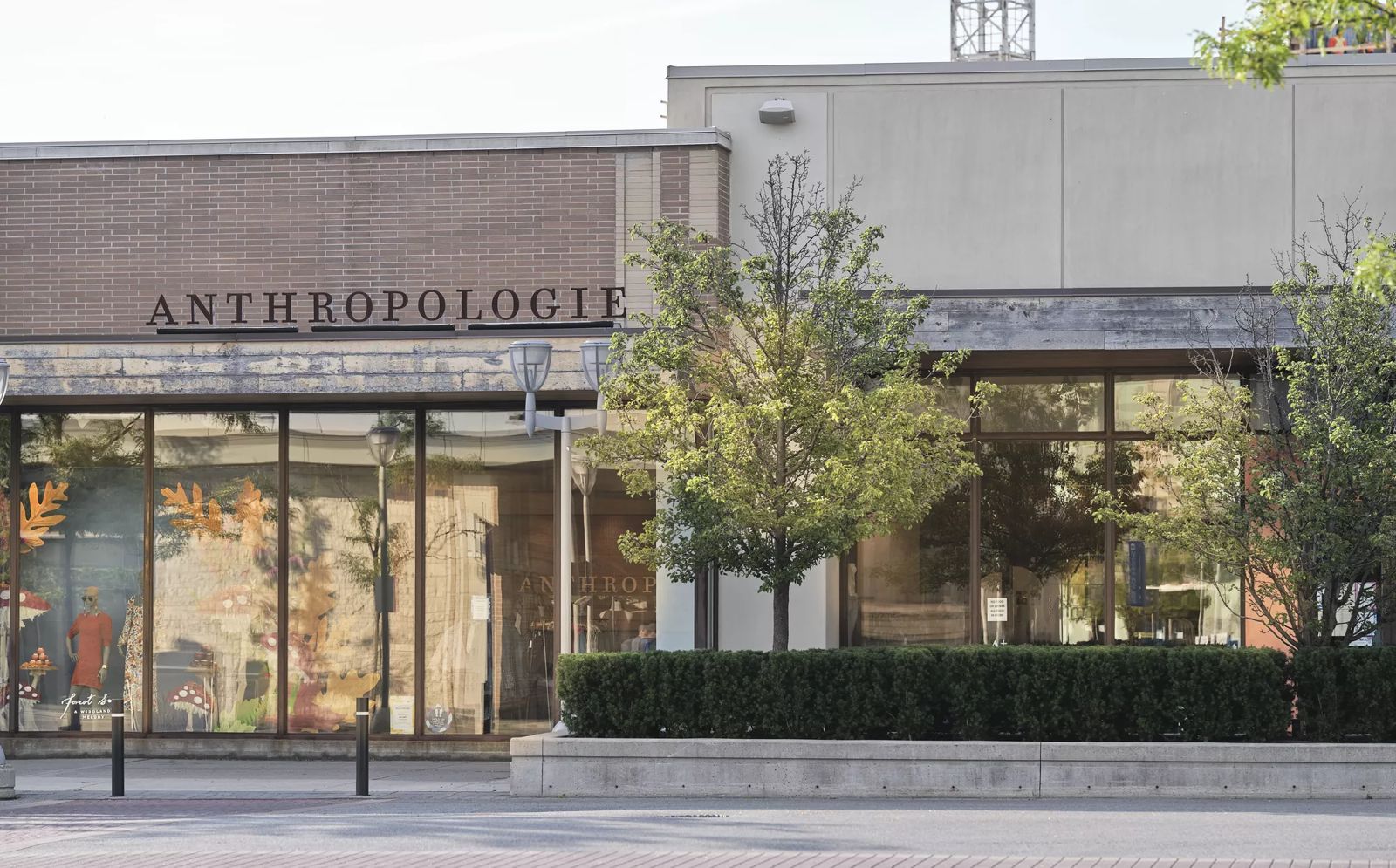 [Retail] [CF Shops at Don Mills] - Anthropologie